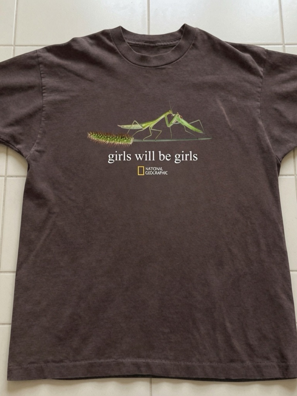 Mantis Graphic Tee National Geographic T-shirt Brown
